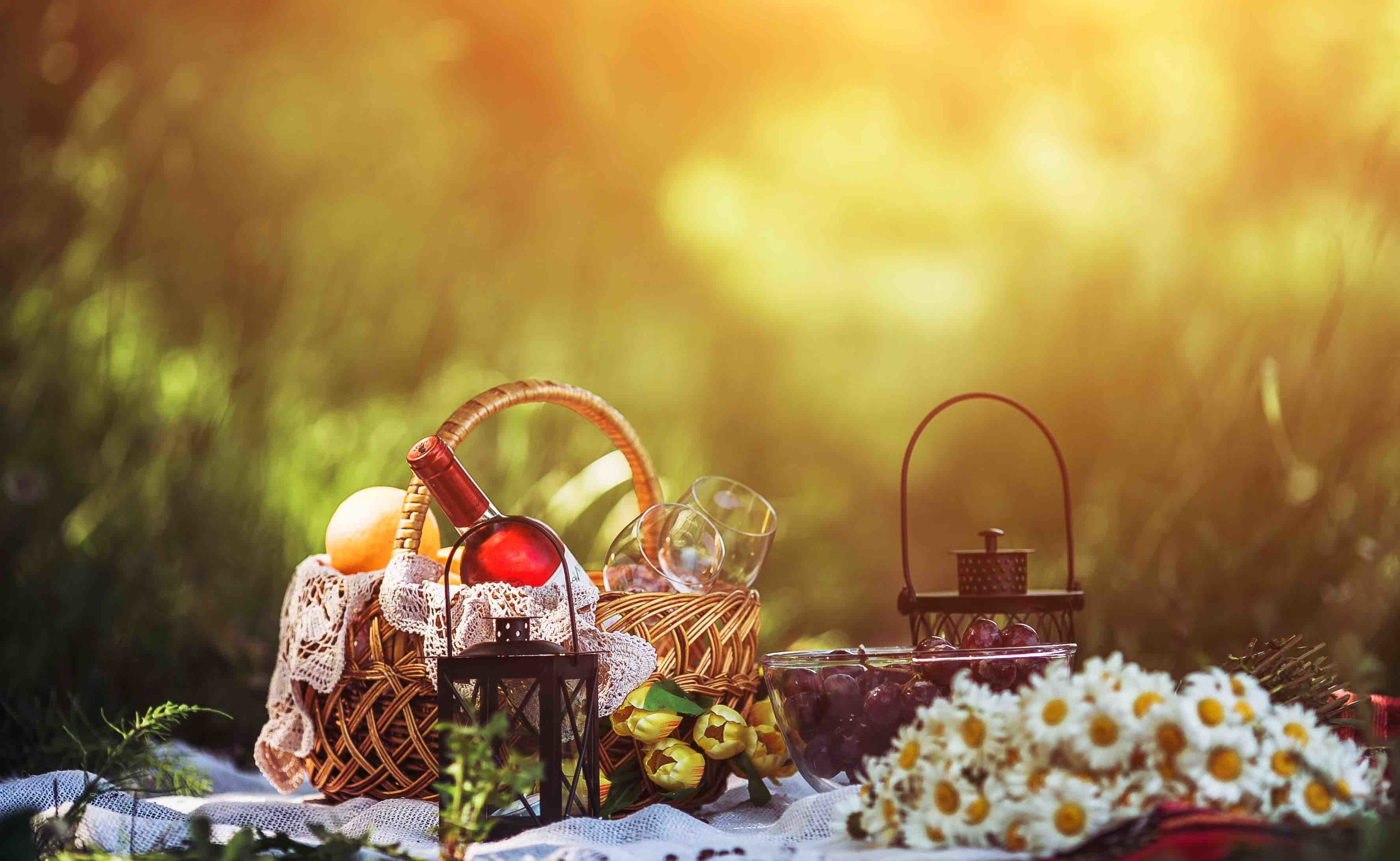 Пикник баннер. Picnic. Напитки для пикника. Piknik background. Картинка пикник пиво 1 мая.